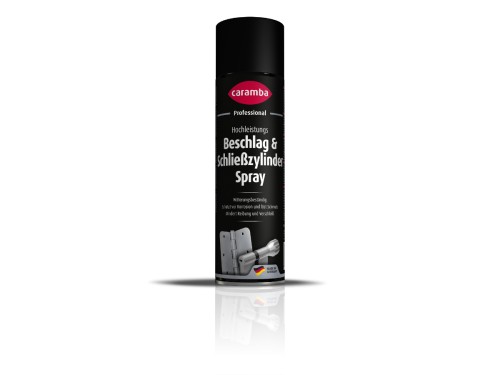 605150_P_Beschlag_Spray_500ml_L.jpg