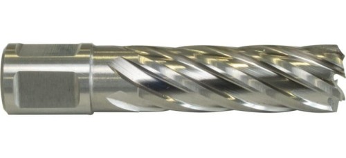 Wiertło koronowe HSS 12x55mm WELDON 19